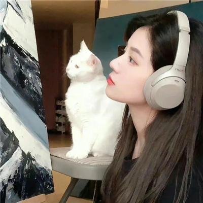 拳释人生